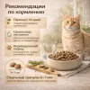 OAK'S FARM сухой беззерновой корм с лососем для взрослых кошек, супер-премиум, 400 г