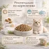 OAK'S FARM сухой беззерновой корм с белой рыбой для взрослых кошек, супер-премиум, 6 кг