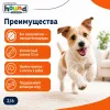 Outward Hound Invinc Mini Свинка игрушка с пищалками для собак, 12 см