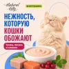 Natural Kitty Creamy Treats крем-суп с курицей и морскими водорослями для кошек, 4×12 г
