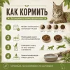 Primordial Grain Free Cat Adult беззерновой корм для взрослых кошек с уткой и индейкой, 2 кг
