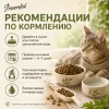 Primordial Cat Adult Neutered беззерновой корм для стерилизованных кошек с индейкой и сельдью, 6 кг