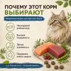 Primordial Grain Free Cat Adult беззерновой корм для взрослых кошек с лососем и тунцом, 2 кг