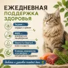 Primordial Grain Free Cat Adult беззерновой корм для взрослых кошек с лососем и тунцом, 2 кг