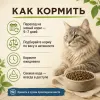 Primordial Grain Free Cat Adult беззерновой корм для взрослых кошек с лососем и тунцом, 2 кг