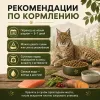Primordial Cat Neutered Sensitive беззерновой корм для стерилизованных кошек с чувствительным пищеварением, лососем и перепёлкой, 6 кг
