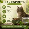Primordial Grain Free Cat Sterilized беззерновой корм для стерилизованных кошек с индейкой и сельдью, 2 кг