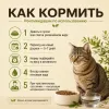 Primordial Grain Free Cat Urinary беззерновой корм для кошек при МКБ с индейкой и сельдью, 2 кг
