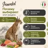Primordial Neutered Skin&Coat беззерновой корм для стерилизованных кошек с лососем и индейкой, 2 кг