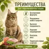 Primordial Cat Adult Neutered Skin&Coat беззерновой корм для стерилизованных кошек с лососем и индейкой, 6 кг