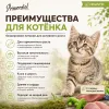 Primordial Grain Free Kitten беззерновой корм для котят с уткой и индейкой, 6 кг