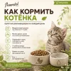 Primordial Grain Free Kitten беззерновой корм для котят с уткой и индейкой, 6 кг