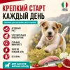 Primordial Puppy Starter Mini беззерновой корм-холистик для щенков мелких пород с индейкой и сельдью, 2 кг