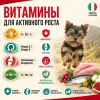 Primordial Puppy Starter Mini беззерновой корм-холистик для щенков мелких пород с индейкой и сельдью, 2 кг