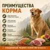 Primordial Grain Free Adult Dog беззерновой корм для взрослых собак с форелью и уткой, 12 кг