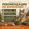 Primordial Grain Free Adult Dog беззерновой корм для взрослых собак с форелью и уткой, 12 кг