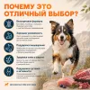 Primordial Grain Free Adult Dog беззерновой корм для взрослых собак с тунцом и ягнёнком, 12 кг