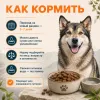 Primordial Grain Free Adult Dog беззерновой корм для взрослых собак с тунцом и ягнёнком, 12 кг