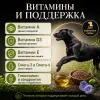 Primordial Breeders Grain Free Adult Dog беззерновой корм для взрослых собак с тунцом и ягнёнком, 20 кг