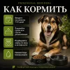 Primordial Breeders Grain Free Adult Dog беззерновой корм для взрослых собак с тунцом и ягнёнком, 20 кг