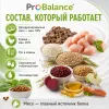 Сухой корм ProBalance Adult Hairball для взрослых кошек, 400 г