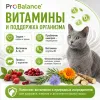 Сухой корм ProBalance Adult Hairball для взрослых кошек, 400 г