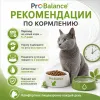 Сухой корм ProBalance Adult Hairball для взрослых кошек, 400 г