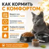 Сухой корм ProBalance Immuno Cat с лососем для взрослых кошек, 400 г