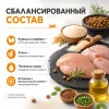 Сухой корм ProBalance Immuno Cat с лососем для взрослых кошек, 400 г