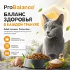 Сухой корм ProBalance Immuno Cat с лососем для взрослых кошек, 400 г