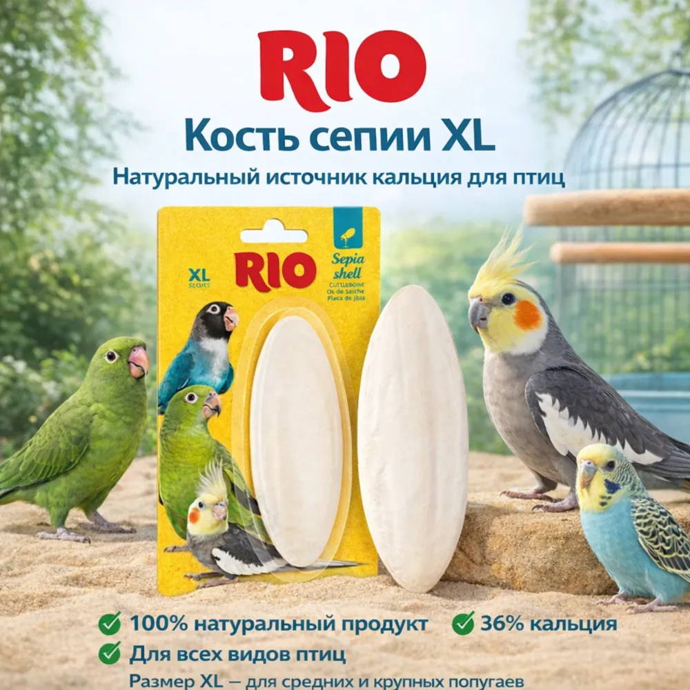 RIO Кость сепии (панцирь каракатицы) XL — минеральная подкормка для птиц, кальций 36%