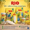 RIO Кость сепии (панцирь каракатицы) XL — минеральная подкормка для птиц, кальций 36%