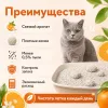 RoCat Orange Scented комкующийся бентонитовый наполнитель с ароматом апельсина для кошек, 5 л