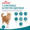 Royal Canin Ageing 11+ сухой корм для пожилых кошек старше 11 лет, 2 кг