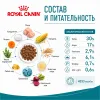 Royal Canin Ageing 11+ сухой корм для пожилых кошек старше 11 лет, 2 кг