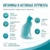 Royal Canin Ageing 11+ сухой корм для пожилых кошек старше 11 лет, 2 кг