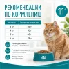 Royal Canin Ageing 11+ сухой корм для пожилых кошек старше 11 лет, 2 кг