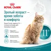 Royal Canin Ageing 11+ сухой корм для пожилых кошек старше 11 лет, 2 кг