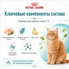 Royal Canin Ageing 11+ сухой корм для пожилых кошек старше 11 лет, 4 кг