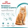 Royal Canin Ageing 11+ сухой корм для пожилых кошек старше 11 лет, 4 кг
