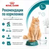 Royal Canin Ageing 11+ сухой корм для пожилых кошек старше 11 лет, 4 кг