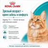 Royal Canin Ageing 11+ сухой корм для пожилых кошек старше 11 лет, 4 кг