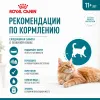 Royal Canin Ageing Sterilised 11+ сухой корм для стерилизованных кошек старше 11 лет, 2 кг