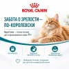 Royal Canin Ageing Sterilised 11+ сухой корм для стерилизованных кошек старше 11 лет, 2 кг