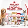 Royal Canin Ageing Sterilised 11+ сухой корм для стерилизованных кошек старше 11 лет, 2 кг