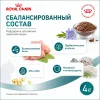 Royal Canin Ageing Sterilised 11+ сухой корм для стерилизованных кошек старше 11 лет, 4 кг