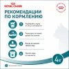 Royal Canin Ageing Sterilised 11+ сухой корм для стерилизованных кошек старше 11 лет, 4 кг