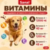 SANAL Choco Drops шоколадные дропсы для собак, 250 г