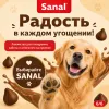 SANAL Choco Drops шоколадные дропсы для собак, 250 г