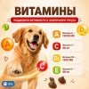 SANAL Dog Choko Drops шоколадные дропсы для собак, 125 г